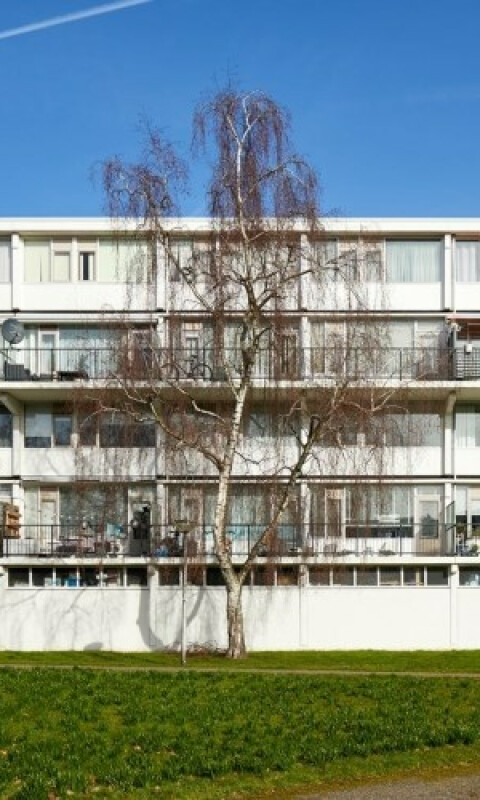 Vliestroom